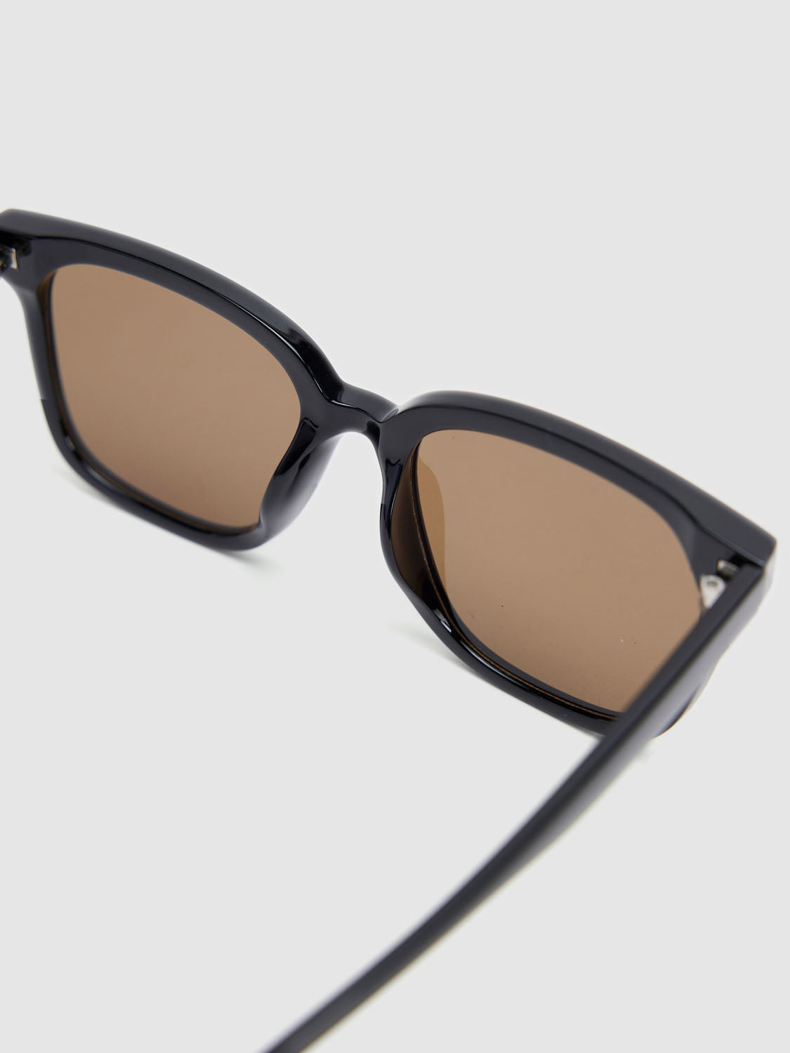 Polarizing Glasses