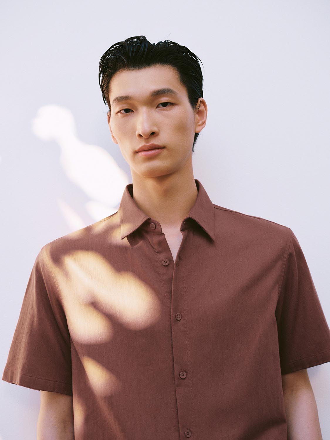Button Up Shirts
