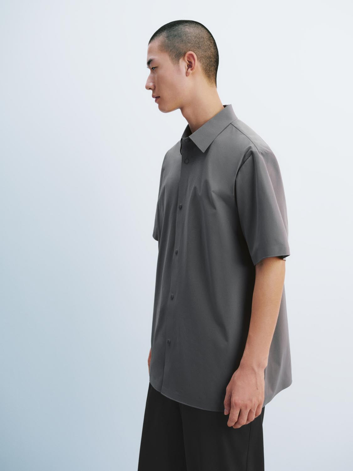 Short Sleeve Shirts