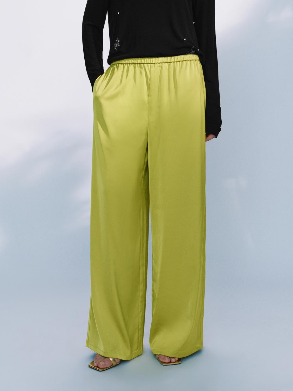 Wide-Leg Pants