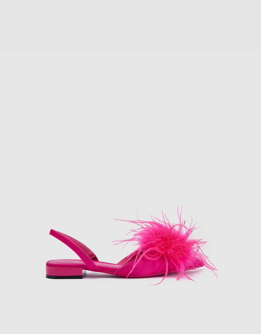 Pointed Toe Slingbacks