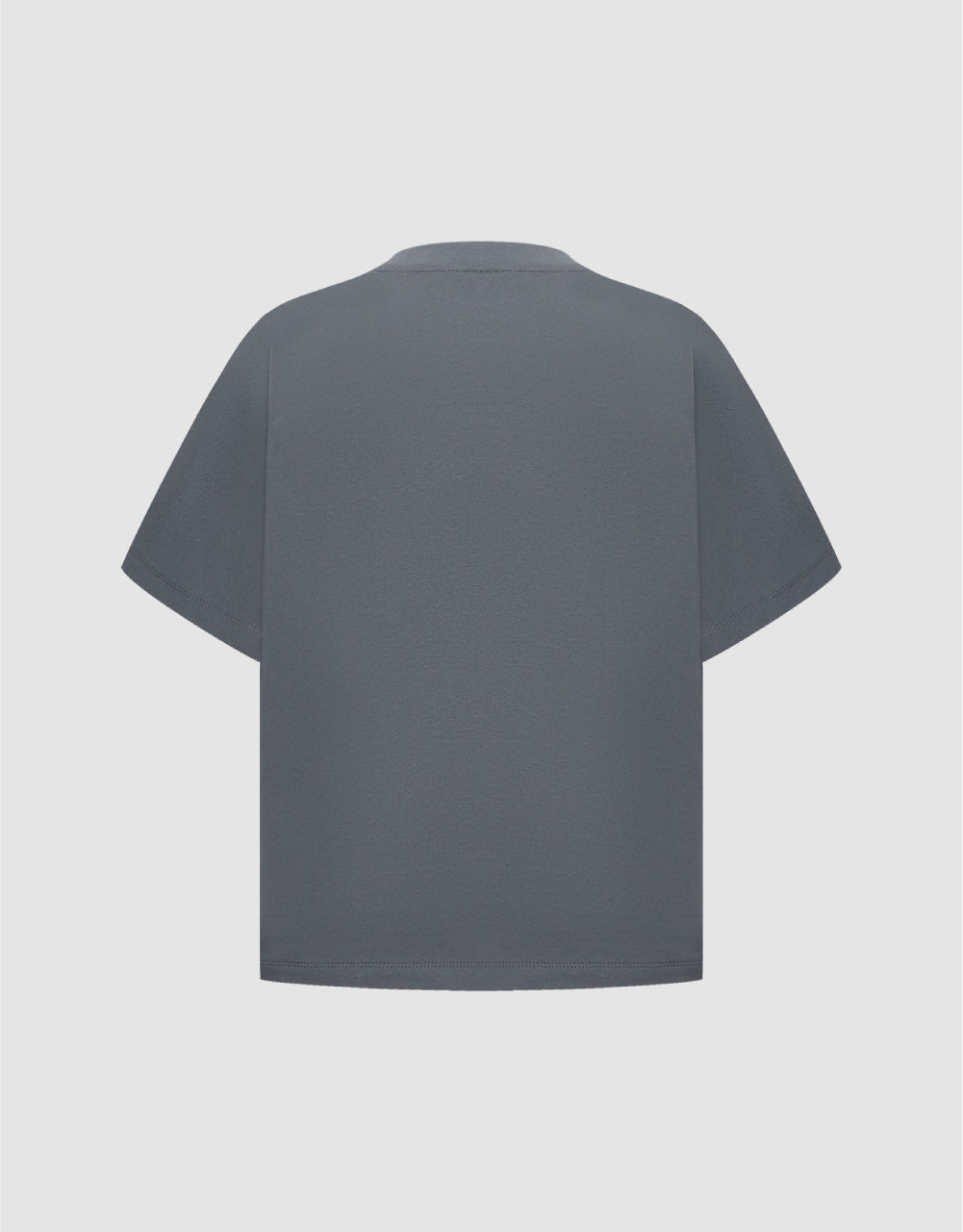 Standard Sleeve Crew Neck Regular T-Shirt
