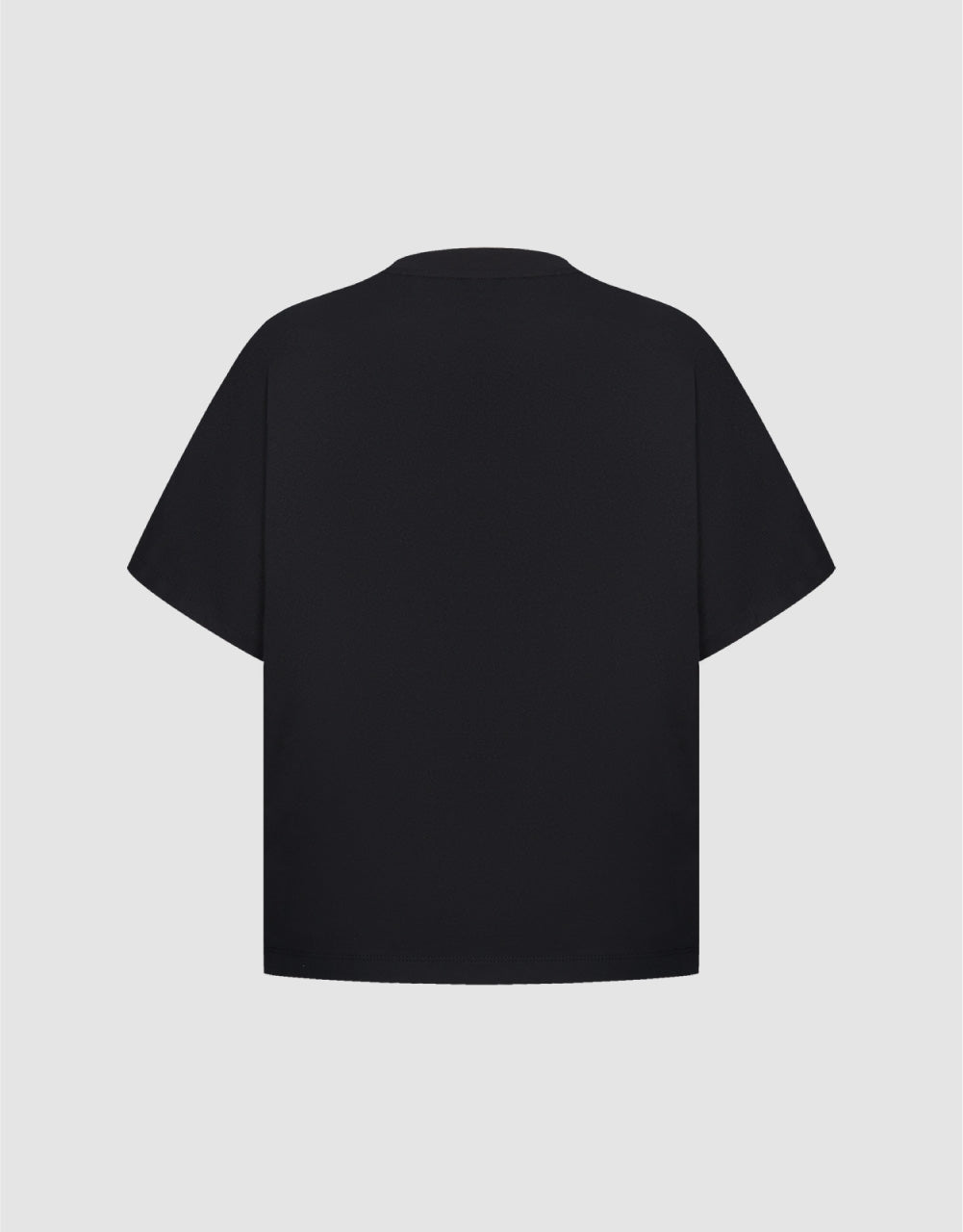 Standard Sleeve Crew Neck Regular T-Shirt