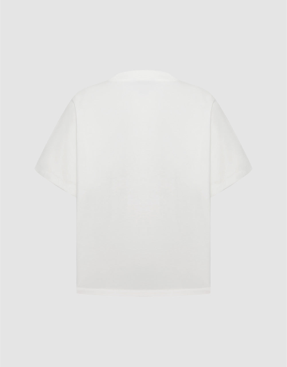 Standard Sleeve Crew Neck Regular T-Shirt